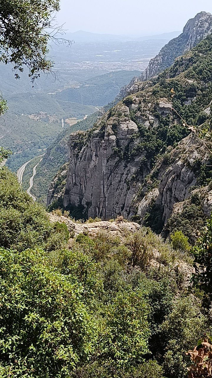Práctica de meditación en la naturaleza